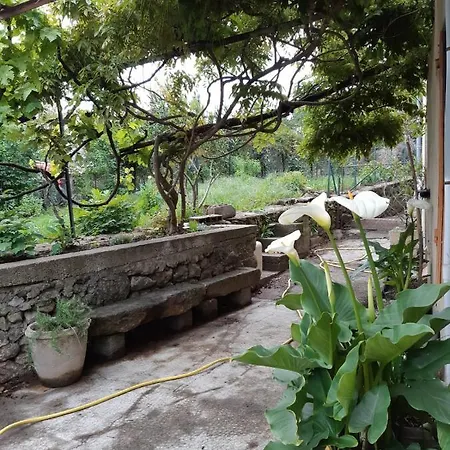 Maison Indépendante Les Arums